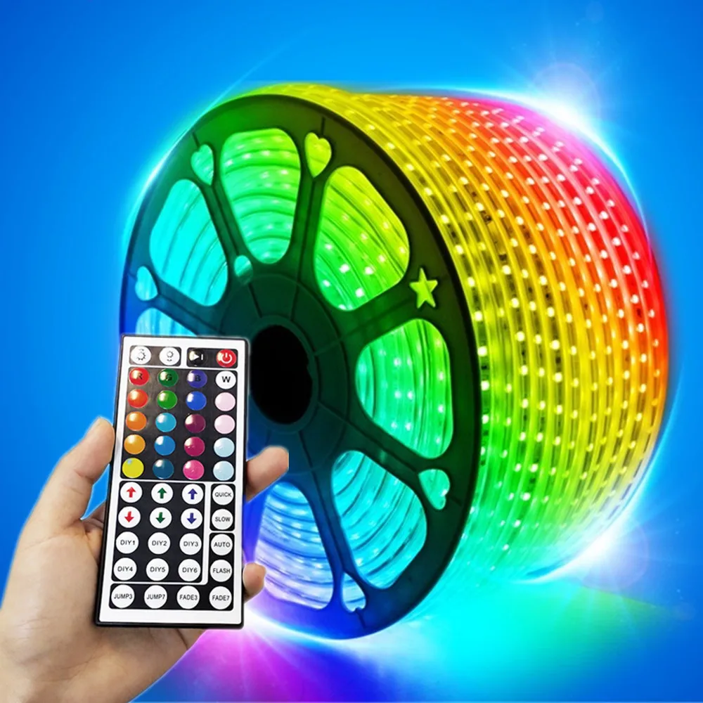 

220v LED Strip Light RGB SMD 5050 with 44 Keys / Mobile phone control Flexible Ribbon Waterproof Diode Tape Led Lights EU plug