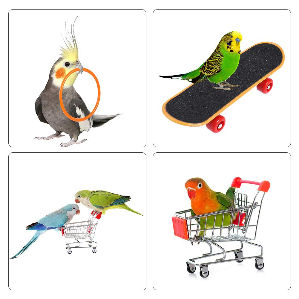 

1Set Of Training Pet Bird Toy Set Interactive Parrot Equipment Set Funny Bird Activity Parrot Toy Pet Bird Basketball Skateboard