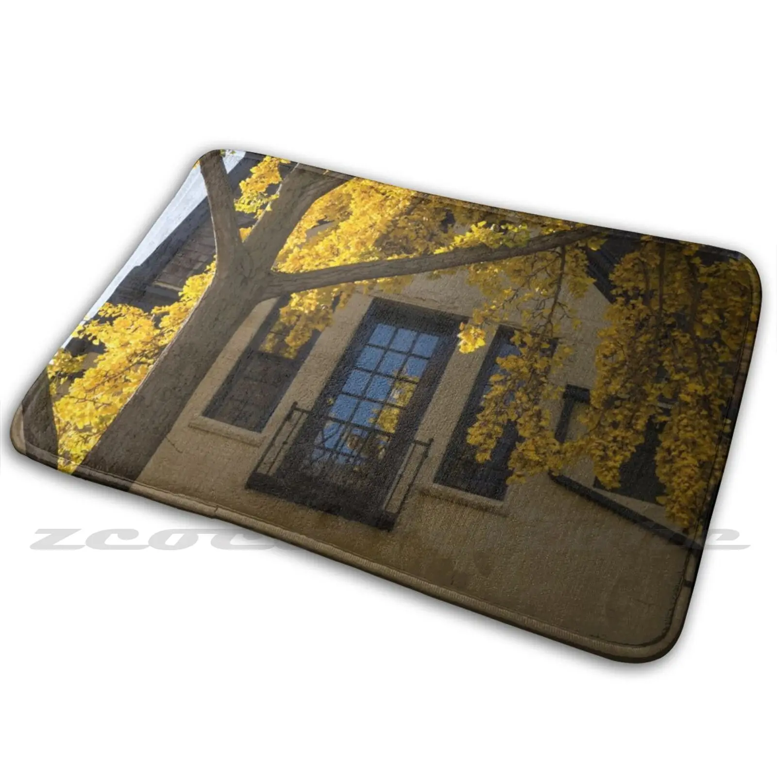 Вашингтон фасады-Dupont Круглый район в желтом мягком коврике дверной проем