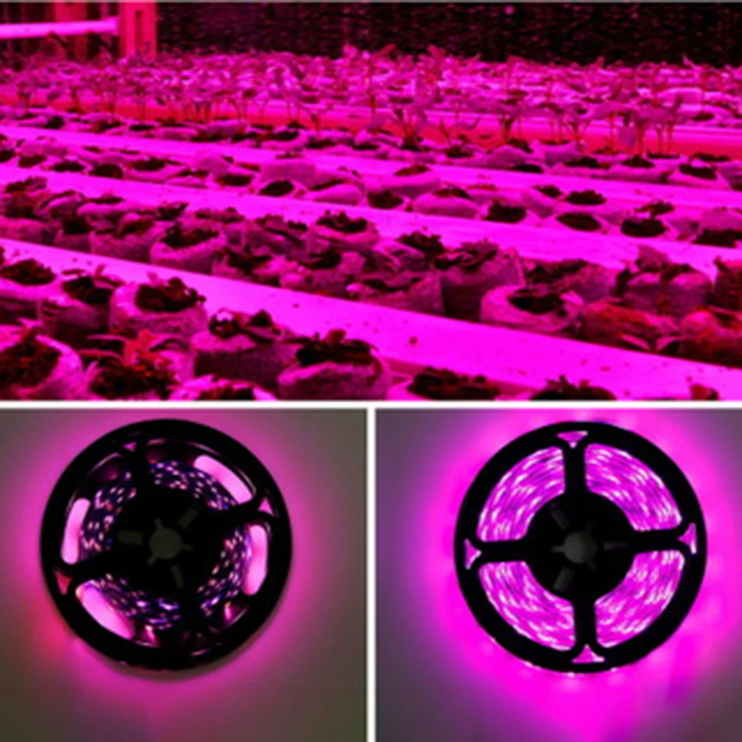 

USB Grow