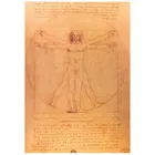 Винтажный постер из крафт-бумаги Леонардо да Винчи