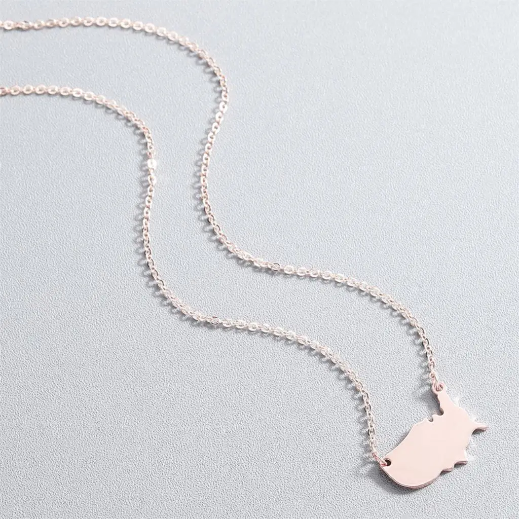 Kinitial ожерелье из нержавеющей стали карта США кулон цепное украшение цепи для