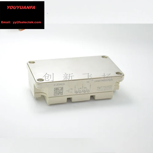 

SKM300MLI066TAT