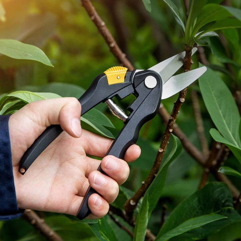 

DELI 8-inch Sharp Pruning Shears SK5 Secateurs Hand Pruner Clippers Fruit Branch Tree Trimmers Plant Trim Garden Scissor Tool