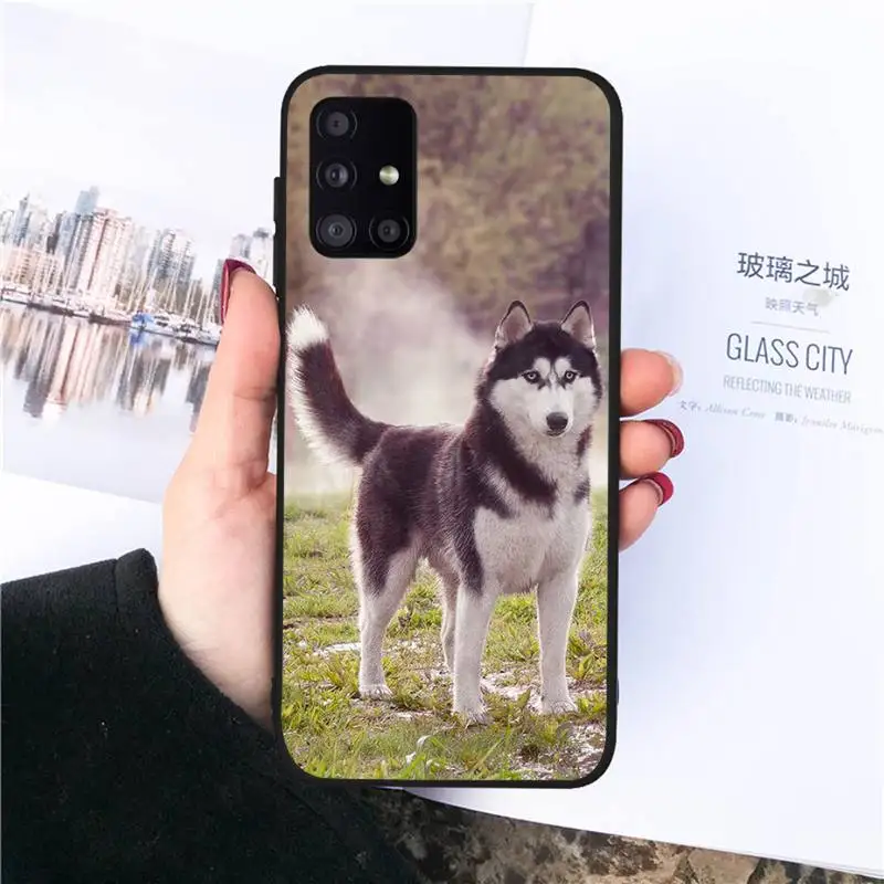 

Alaskan Malamute Siberian husky dog Phone Case For Samsung S6 S7 edge S8 S9 S10 e plus A10 A50 A70 note8 J7 2017