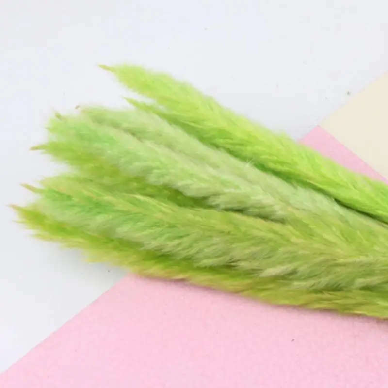 15 шт. прочные сушеные пампасы фрагмиты букет цветов свадебные букеты натуральные