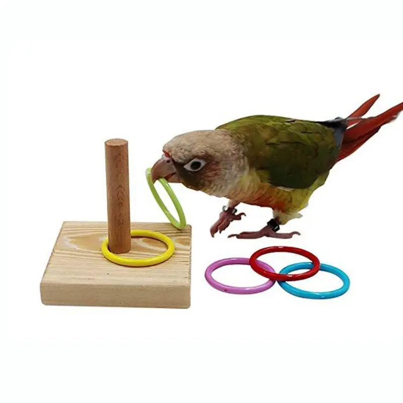 

K3NA Wooden Bird Parrot Platform Plastic Ring Intelligence Training Chew Toy