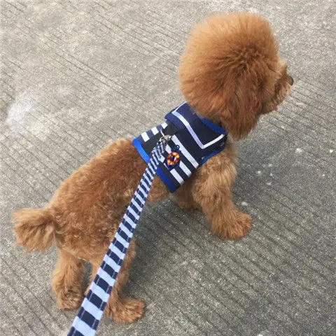 

Dog leash chest strap dog chain Teddy mini dog leash collar VIP pet leash