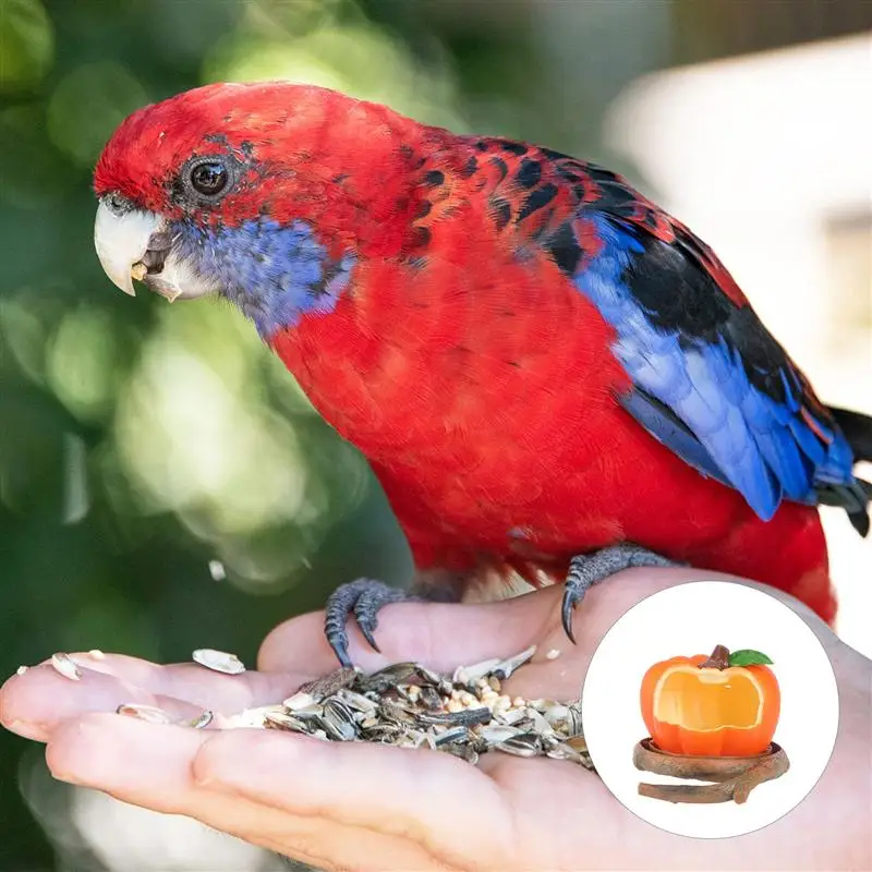 

1pc Parrot Feeding Bowl Pet Drinking Bowl Pet Food Box Pet Eating Bowl Parrot Feeding Accessory Pet Food Bowl for Home