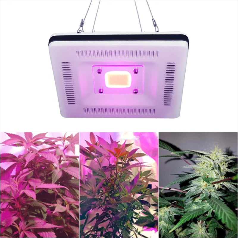 AC 220 В полный спектр завод светодиодный свет панели 50 Вт лампа для выращивания IP67