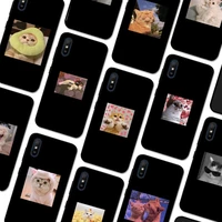 cute kitten black phone case for redmi 9a 8a 7a 7a 7 6a 5a 5 plus 4x s2 go k20 k30 6 note 8 9 pro cover
