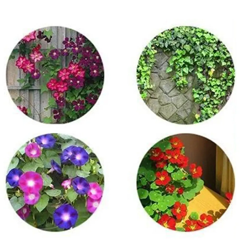 

2pcs/set Gardens Stackable Combined Climbing Trellis Potted Plant Support Garden Accessories Plant Trellis