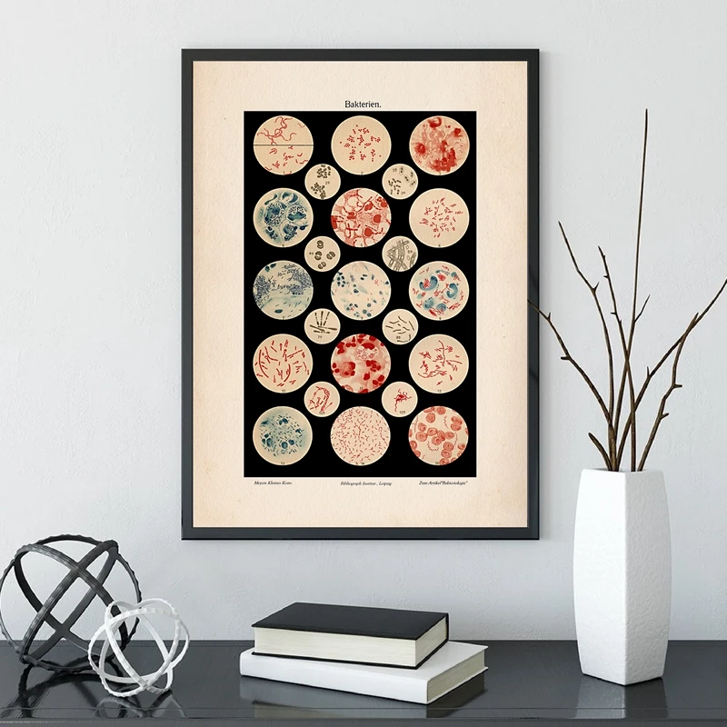 

Canvas Painting Microbiology Bacteria Microbe Art Print Old Medicine Poster Science Wall Art Picture Biology Study Vintage Decor