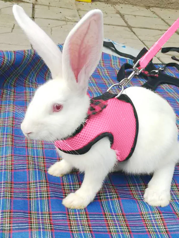 ПЭТ сетка мягкий шлейка с поводком мелких животных жилет поводок для хомяка