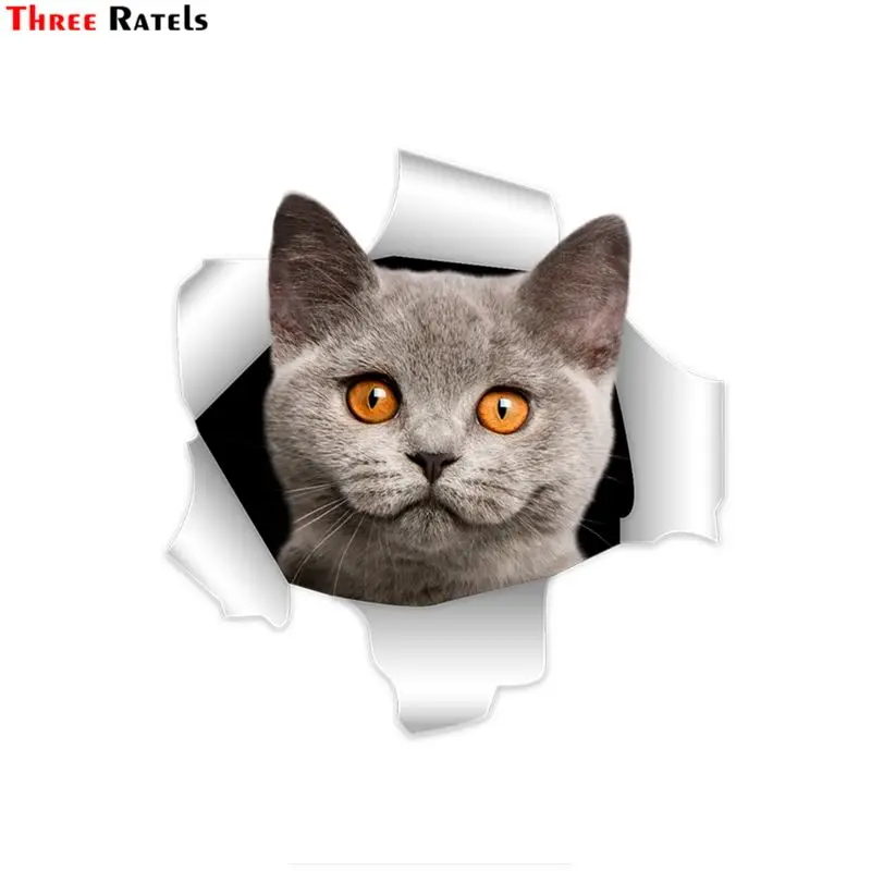 

Three Ratels C304 cute 3D british shorthair cat stickers bike stickers car sticker