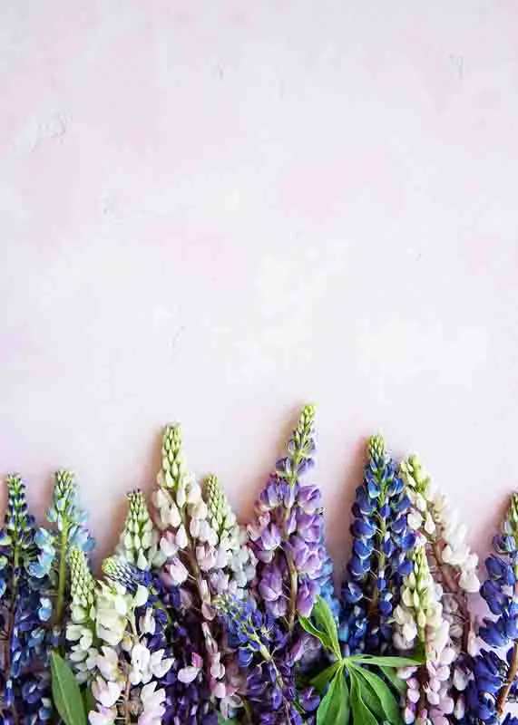 

SHENGYONGBAO Vinyl Custom Photography Backdrops Prop Flower Wood Planks Christmas Theme Photo Studio Background 191025-0256