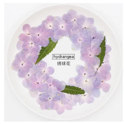 

Сушеные прессованные натуральные розово-фиолетовые цветы гортензии 120 для скрапбукинга гербарий из растений, ювелирная Закладка, чехол для...