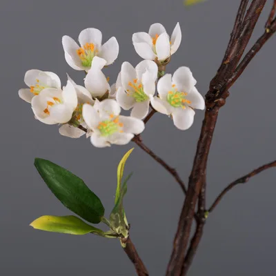 Домашний орнамент имитация персиковых ветвей гостиная спальня в китайском стиле