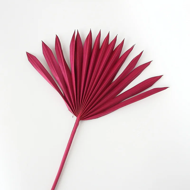 Украшение для дома в скандинавском стиле большой лист натуральный кошачий хвост