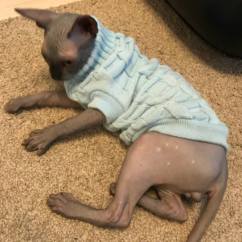 Одежда для домашних животных котов зимняя теплая хлопковая одежда кошек