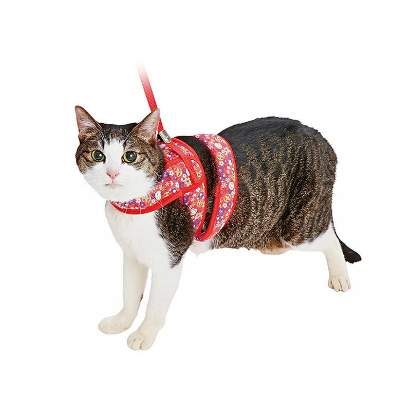 Красивый модный безопасный цветной ошейник для кошек индивидуальный эластичный