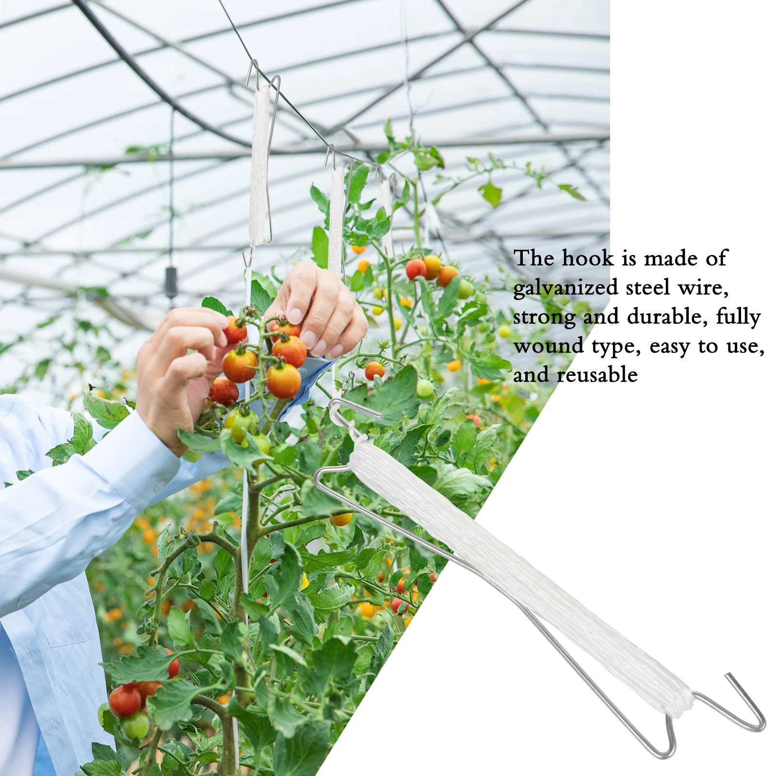 

15pcs Tomato Support Plant Climbing Hooks Nylon Rope Greenhouse For Garden 15 Meters From Pinching Durable Prevent Tomatoes
