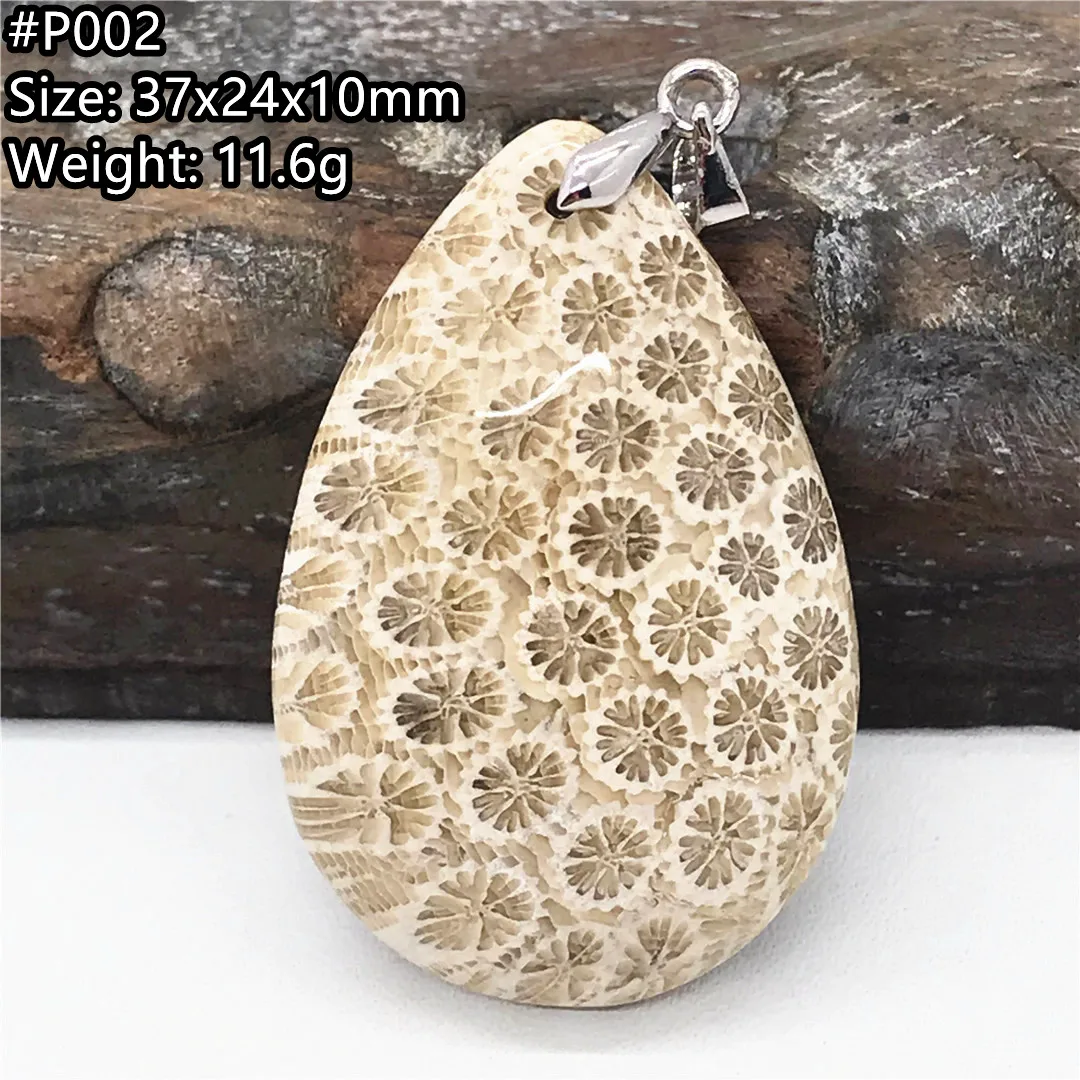 

Natural Precious Coral White Chrysanthemum Pendant Jewelry For Women Men Healing Gift Crystal Silver 37x24x10mm Bead Stone AAAAA