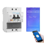 2P eWelink WIFI умный автоматический выключатель с защитой от утечки энергии Голосовое управление Alexa и google для умного дома