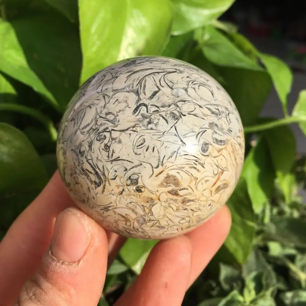 Динозавр кости окаменелости мяч натуральный окаменелый Камень Сфера гладкая