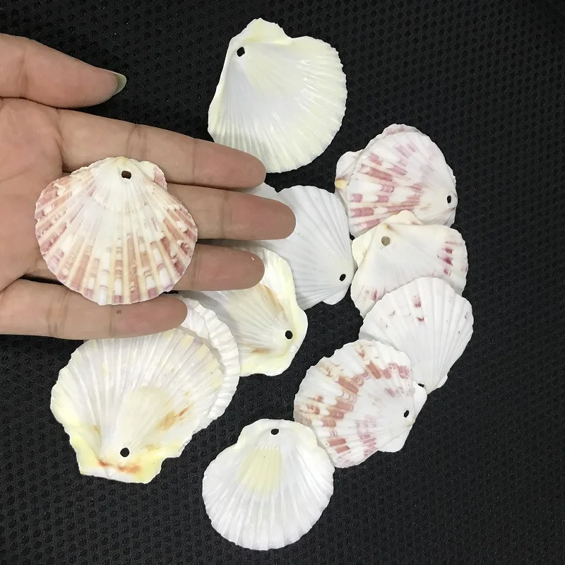 100 шт./пакет морские раковины Schelpen Coquillage Conchas Shell для украшения дома Вавилон морской домашний Морской Декор 1,5 мм гребешок