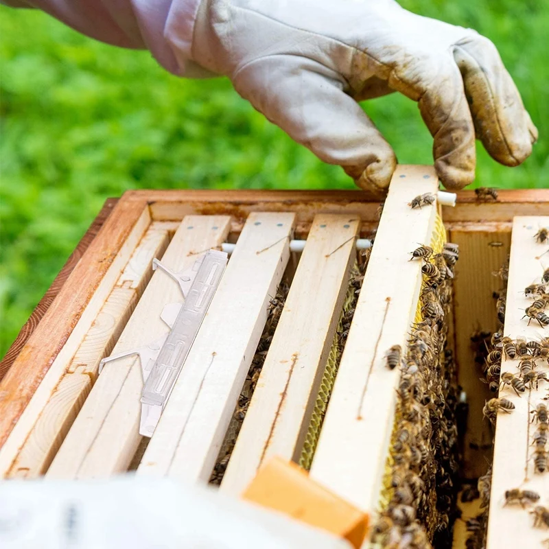 Beekeeping Tools Beetle Trap Collector Beehive Nest Insect Net | Дом и сад