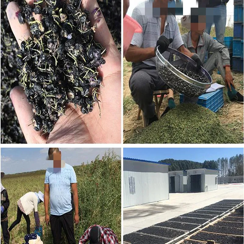 

Hot selling 100% Chinese pure wild organic black wolfberry, rich in anthocyanins, the most powerful antioxidant,protect eyesight
