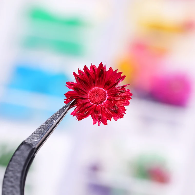 1 чехол 3D сухие цветы украшение для ногтей прекрасный лепесток цветок красота