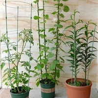 45cm 60cm flower plants climbing rack potted support shelf plastic coated steel vegetables trellis bracket house garden supplies