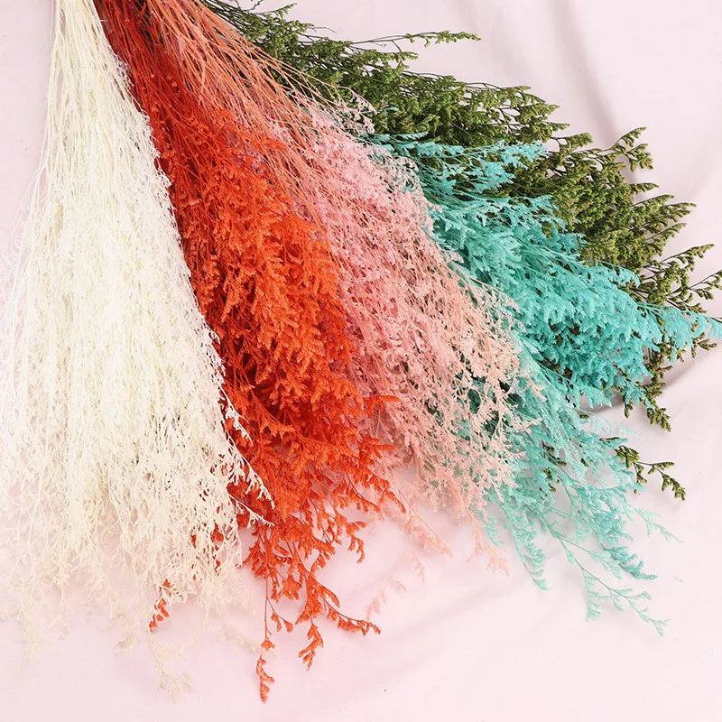 

80g Lover Grass Real Forever Natural Fresh Dried Preserved Flowers Home Decor Boho Mariage Photography Props