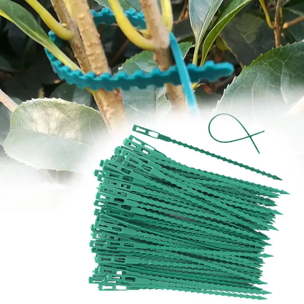 

50/30 Pcs Fishbone Spur Green Landscape Reusable Garden Plastic Plant Belt Ties Tie Garden Fishbone Band Tools