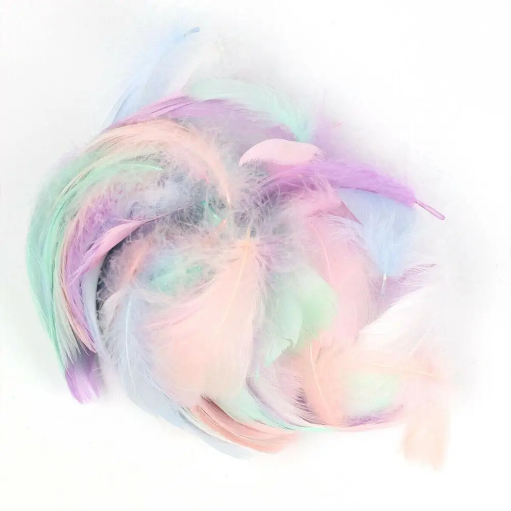 Цветное перо и гусиное в сборе подходящие ювелирные аксессуары для свадебной