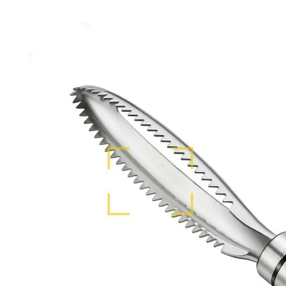 

Kitchen Tool Accessorie Fish Scales Scraping Graters Scraper Cleaning Gadge Fish Bone Fish Tweezers Remove Fast Peeler E3P6