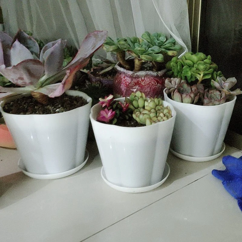 

16 Pcs Plastic Flower Plant Pots Seedlings Nursery Pot Planter with Saucer Pallet White & Gray Black