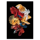 5D Алмазная вышивка рыбы Betta Splendens полный дрель мозаика художественная живопись ручной работы Животное Декор для дома подарок