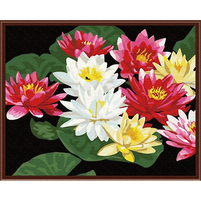 DIY Magpie Lotus Painting By Numbers Handpainted Flower and Bird Illustration Wall Art Picture Home Decoration Frameless 16&quot*20&quot | Дом и