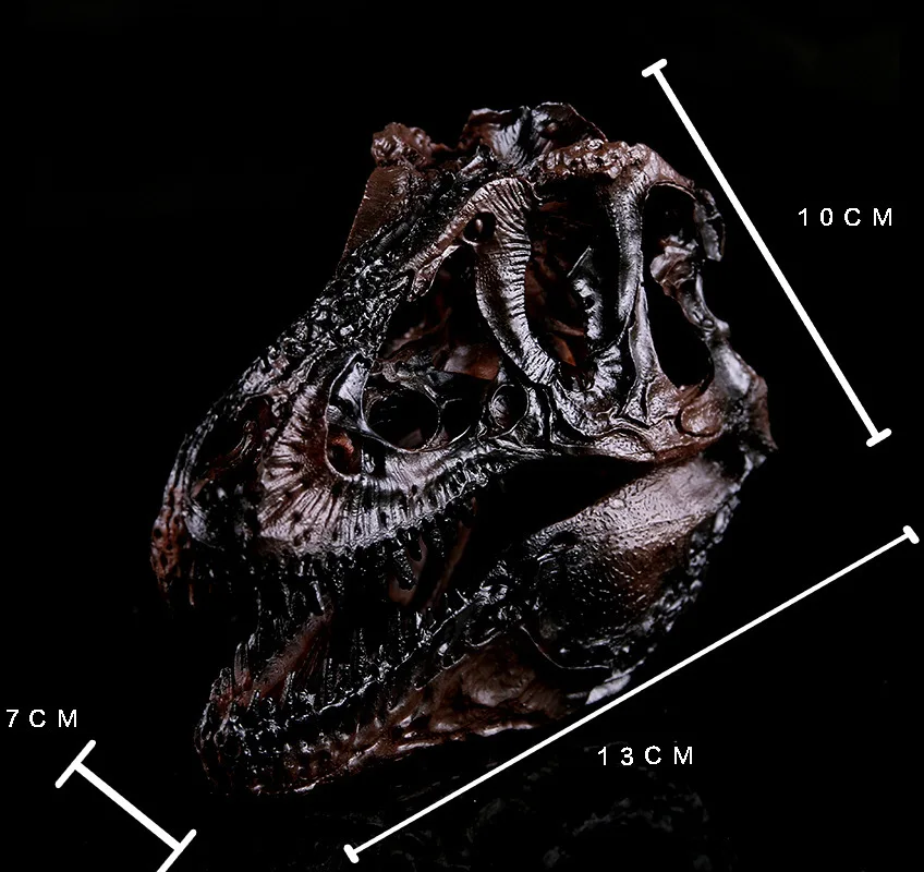 

Bawanglongtou resin skull 61 children's Gift resin handicraft dinosaur skull model home decoration