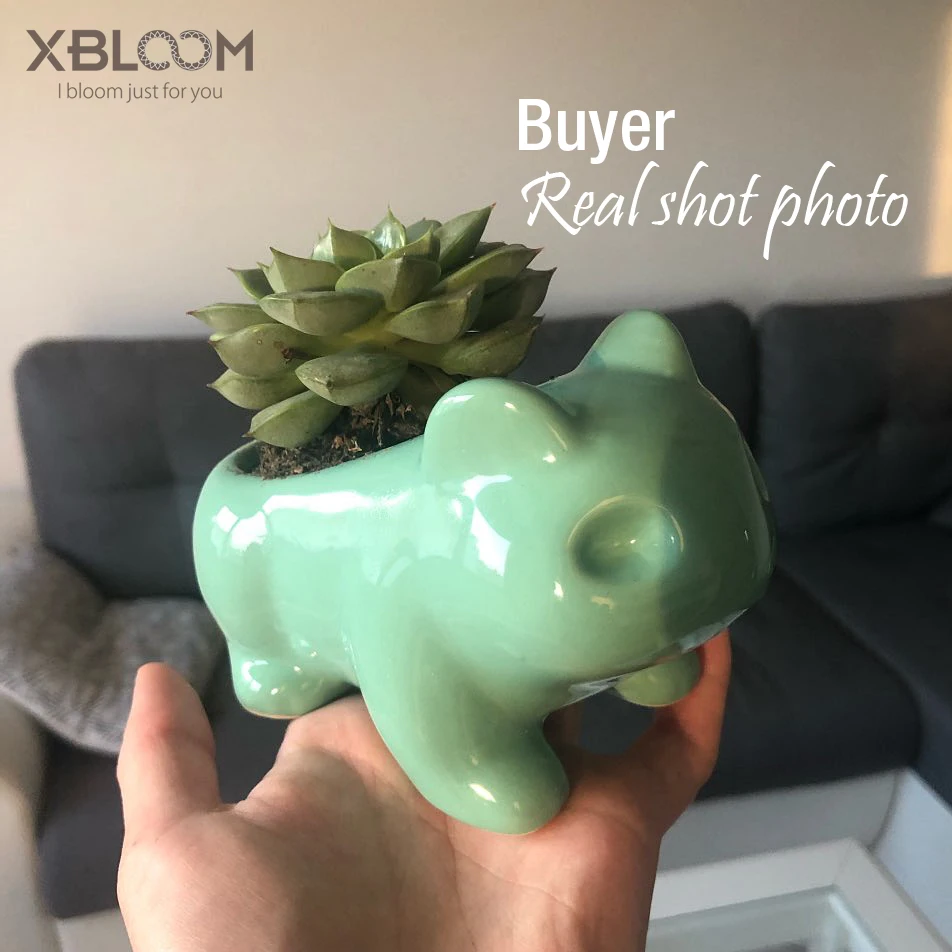 3 шт./лот Мультяшные животные Сова керамический цветочный горшок для дома садовый