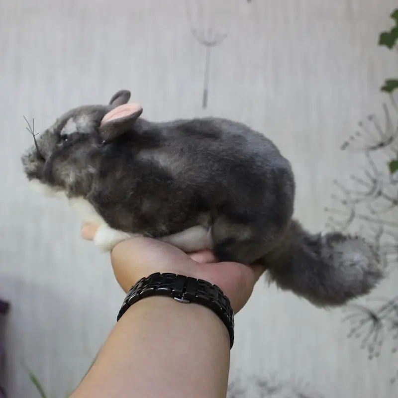 Kawaii имитация шинчлидэ плюшевые игрушки мини Шиншилла плюшевая кукла мыши мягкие