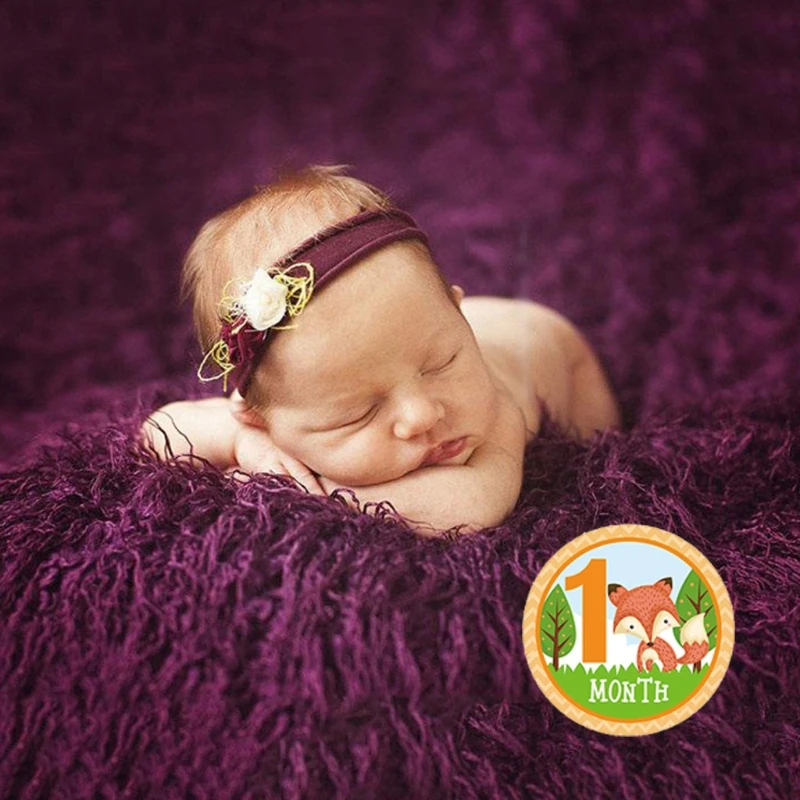 

D0AF 12 Pcs/Set Cartoon Animal Baby Monthly Stickers Photography Milestone Memorial Month Stickers Newborn Photo Props