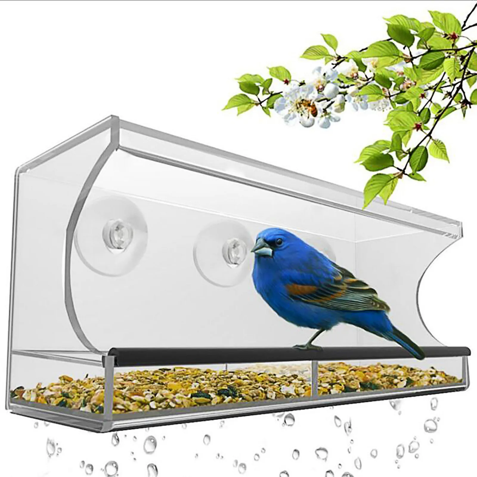 

#5 Bird Feeder Two Suction Cups For Transparent Acrylic Movable Plate Viewing Window For Garden Yard Decoration