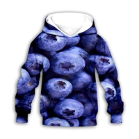 blueberry 3d printed hoodies family suit tshirt zipper pullover kids suit sweatshirt tracksuitpant shorts