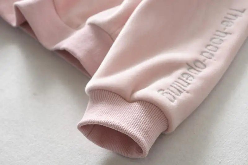 Jvzkass new thick velvet sports suit two-piece female hooded embroidery sweatshirt+ casual pants to keep warm Z332