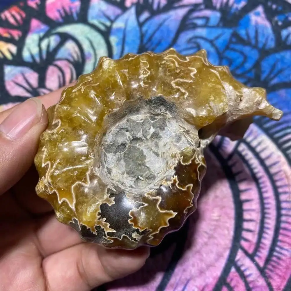 

Высокое качество, природный попугай, ископаемые энергии, лечение для украшения дома DW