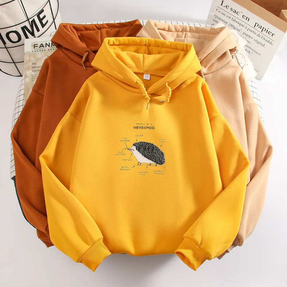 Hedgehog Animal Print Hoodie Oversized Harajuku Sweatshirt Vintage Graphic Plus Size Sweetshirt for Girls Winter Women Kpop Tops